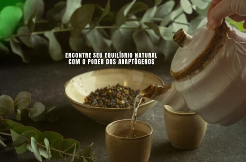 Variedade de ervas adaptógenas para saúde e bem-estar.