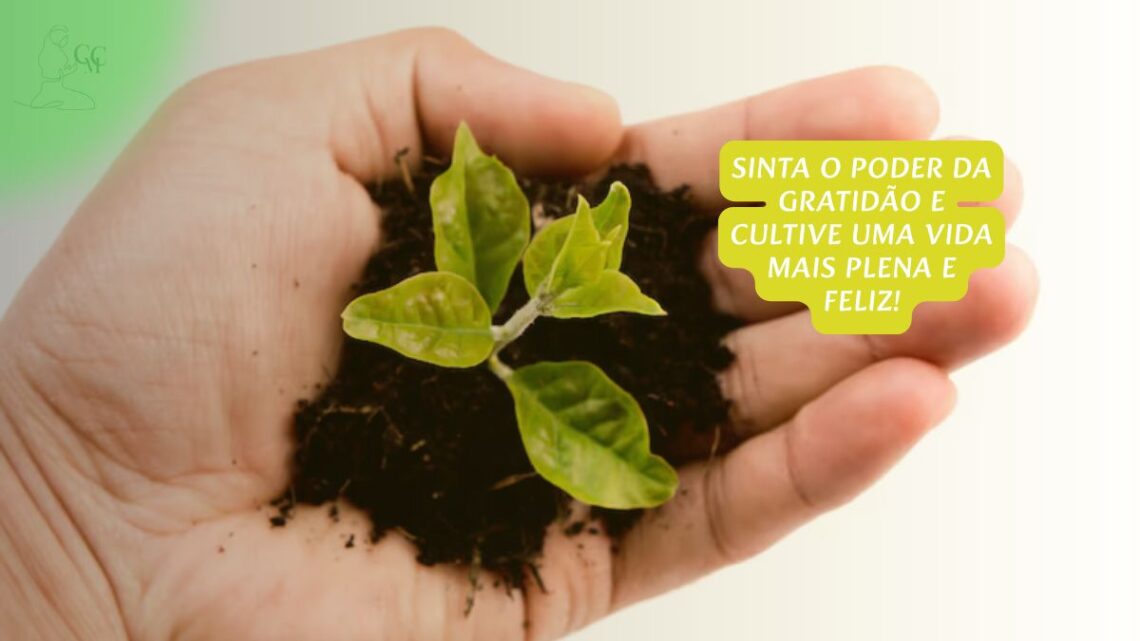 Mãos segurando uma planta pequena ou sementes, simbolizando crescimento e apreciação.