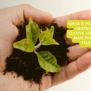 Mãos segurando uma planta pequena ou sementes, simbolizando crescimento e apreciação.