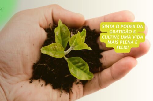 Mãos segurando uma planta pequena ou sementes, simbolizando crescimento e apreciação.