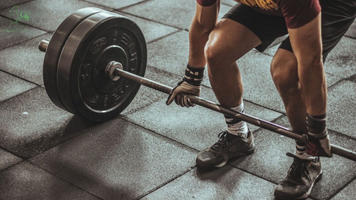 treino dividido ou full body