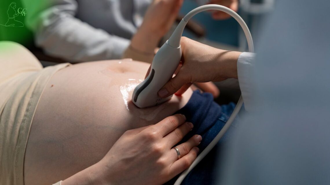 Saúde da mulher e cuidados na maternidade