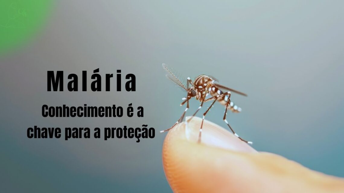 Mosquito Anopheles, vetor da malária, pousado em pele humana.