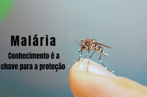 Mosquito Anopheles, vetor da malária, pousado em pele humana.