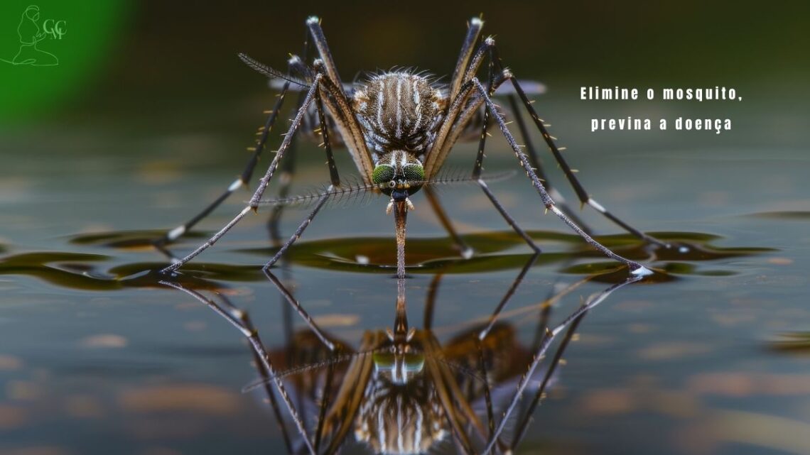 Gotas de água em uma folha, com o mosquito Aedes aegypti pousado, simbolizando o combate à Dengue, Zika, Chikungunya: Prevenção e Dicas.