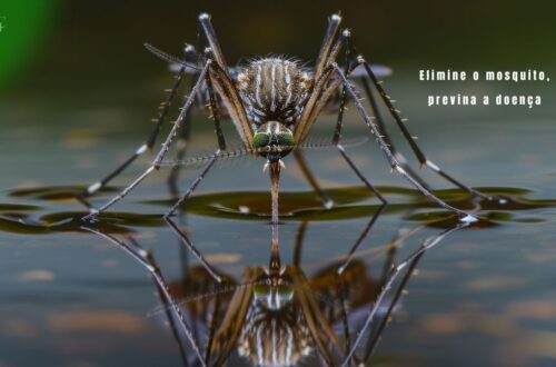 Gotas de água em uma folha, com o mosquito Aedes aegypti pousado, simbolizando o combate à Dengue, Zika, Chikungunya: Prevenção e Dicas.